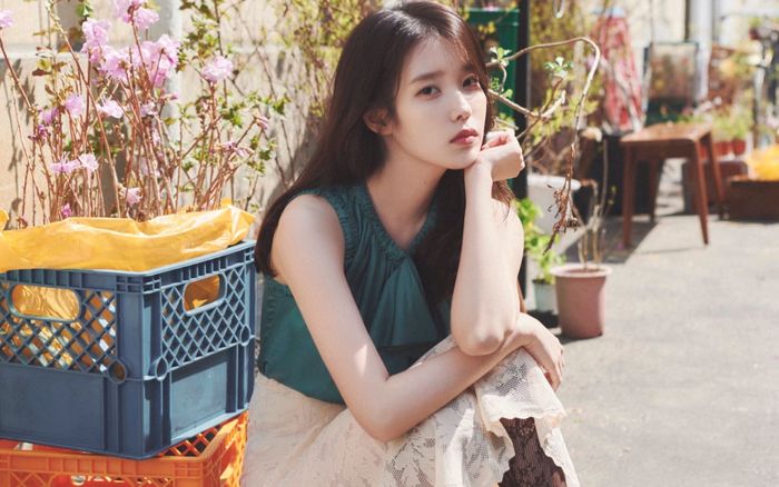 Tiền bản quyền ca khúc 23 năm trước bỗng tăng gấp... 180 lần nhờ IU