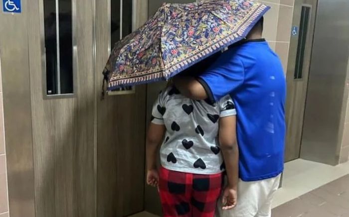 Loài côn trùng khiến người dân khổ sở nhưng không thể tiêu diệt