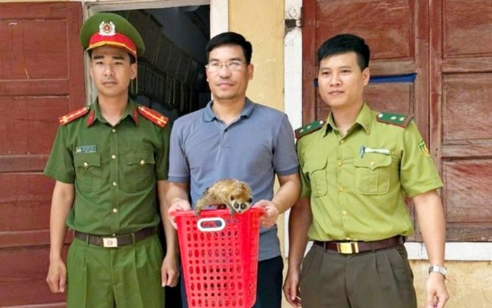 Xuất hiện loài vật có hình dáng 'lạ' ở Quảng Bình
