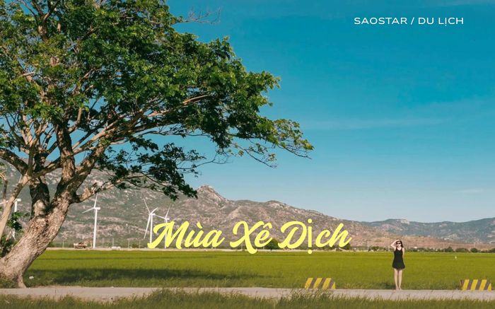 Mùa xê dịch: Đi để thấy mình rộng hơn mọi giới hạn