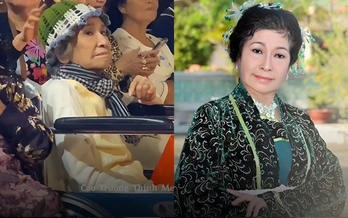 Xúc động nữ nghệ sĩ Việt gặp bạo bệnh, ngồi xe lăn đến xem đồng nghiệp diễn