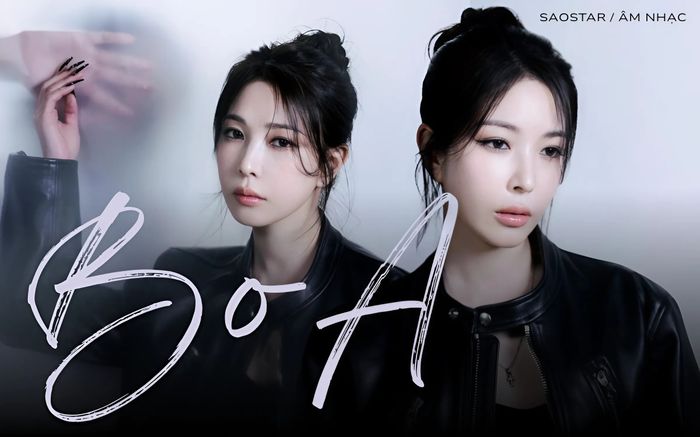 BoA đã làm gì để bị công kích nặng nề đến vậy?