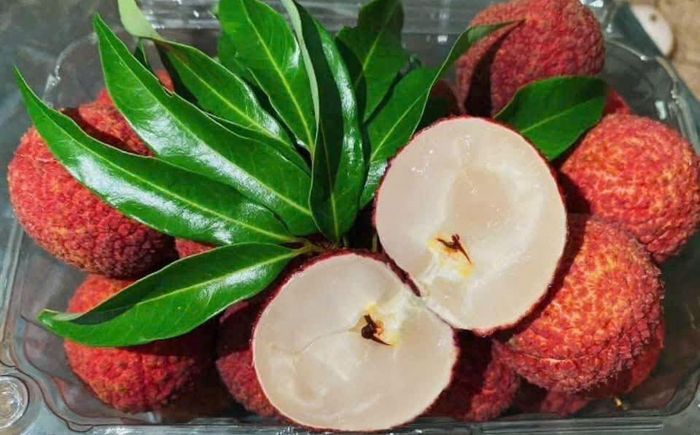 Gần 1 triệu đồng/kg vẫn cháy hàng, loại vải không hạt này có gì đặc biệt?