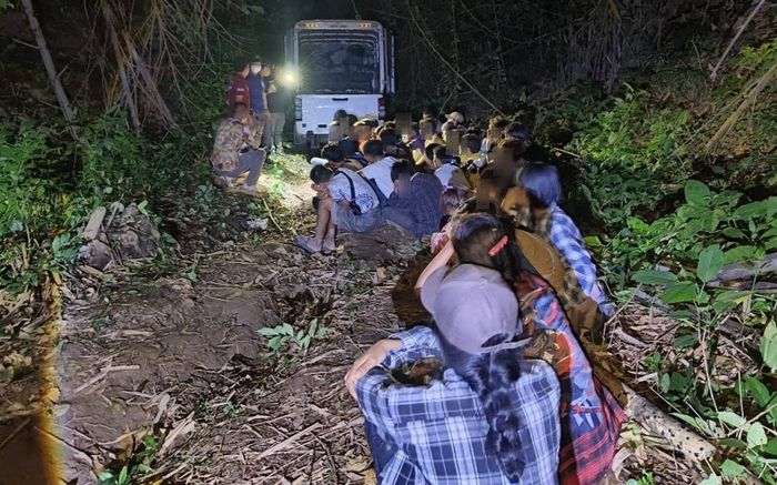 Kiểm tra chiếc xe bán tải khả nghi trên cao tốc, sững sờ trước cảnh tượng bên trong