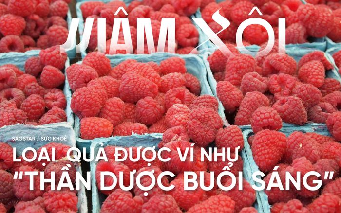 Loại quả ví như thần dược buổi sáng, ở Việt Nam mọc dại đầy