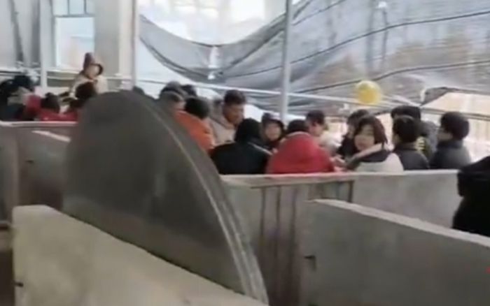 Xôn xao đám cưới được đãi trong chuồng heo, khách mời lại khen nức nở