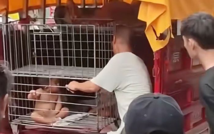 Bé trai không mặc quần áo bị cha nhốt trong lồng sắt, lời giải thích gây tranh cãi