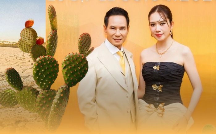 Phim rời rạp với doanh thu khủng, chưa chắc vợ chồng Lý Hải đã vui