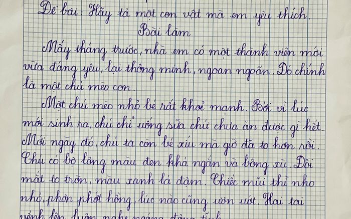 Bé gái lớp 5 viết bài văn tả chú mèo, dân mạng vừa nhìn đã muốn chấm điểm 10