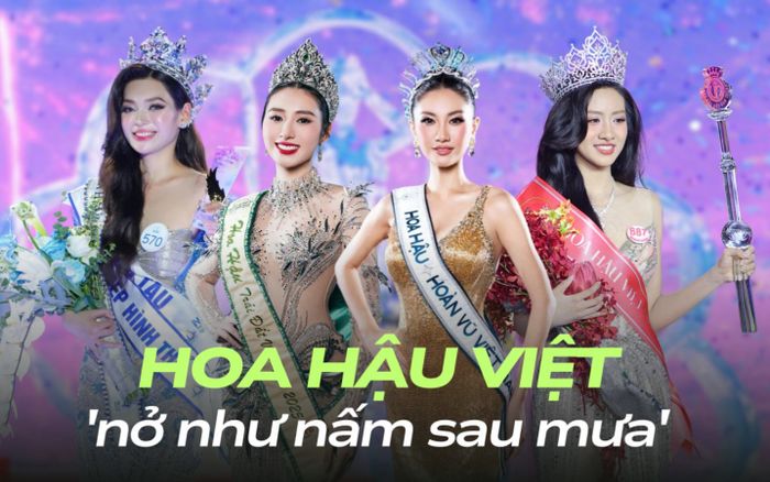 Hoa hậu Việt 'nở như nấm sau mưa': Cứ 13 tiếng lại có một người đội vương miện