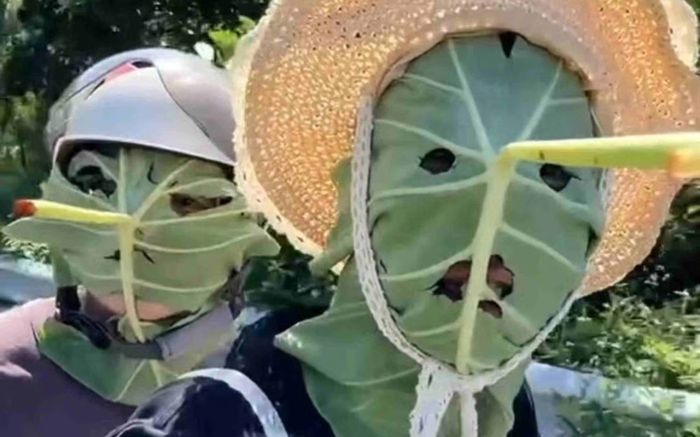 Giới trẻ Trung Quốc dùng lá sen làm mặt nạ chống nắng, trào lưu gây tranh cãi