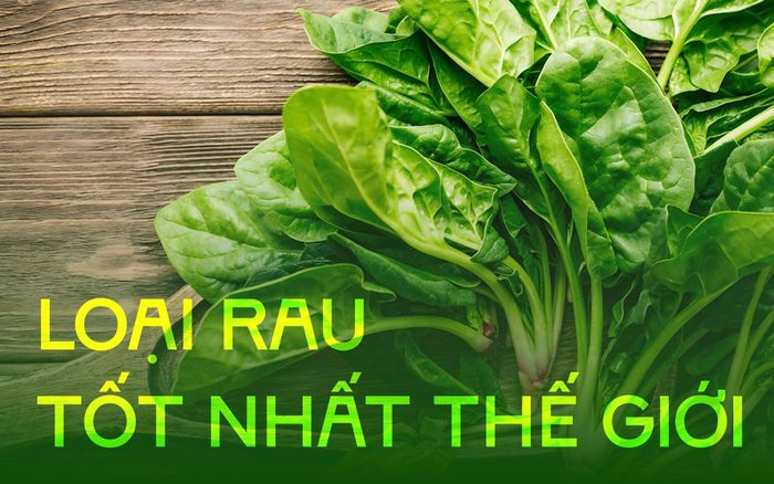 Chuyên gia dinh dưỡng Mỹ tiết lộ loại rau tốt nhất thế giới, ở Việt Nam bán nhiều