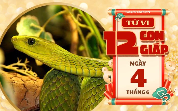 Tử vi hôm nay 4/6: 3 con giáp lên 'như diều gặp gió'
