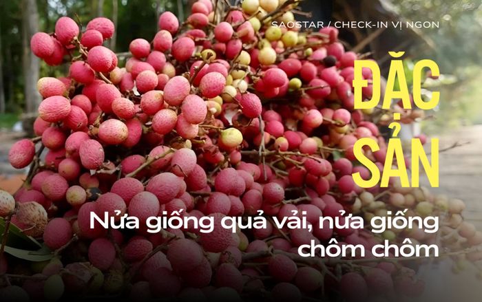 Đặc sản An Giang 3 năm ra trái một lần, nửa giống chôm chôm nửa giống quả vải