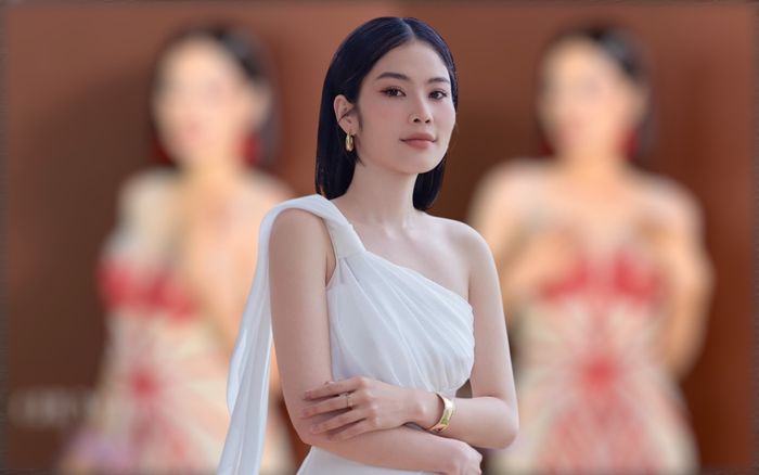 Không nhìn ra Lệ Nam