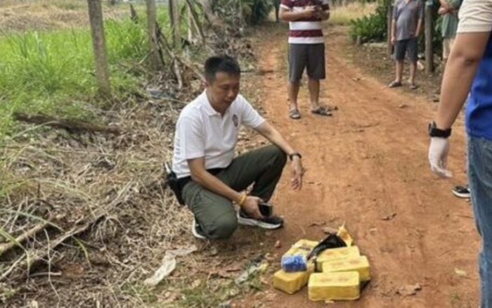 Chó tha 5 hộp hàng lạ về, người dân sửng sốt sau khi kiểm tra bên trong