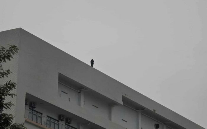 Thiếu nữ đứng trên tầng thượng Bệnh viện Bạch Mai