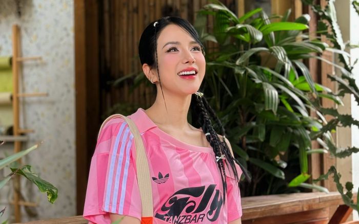 Diệp Lâm Anh bị công kích