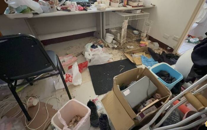 Thuê nhà nhưng không được gia hạn, người phụ nữ trả thù gây phẫn nộ