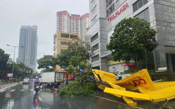 Bão số 3 Wipha rất mạnh và di chuyển nhanh, rất nguy hiểm