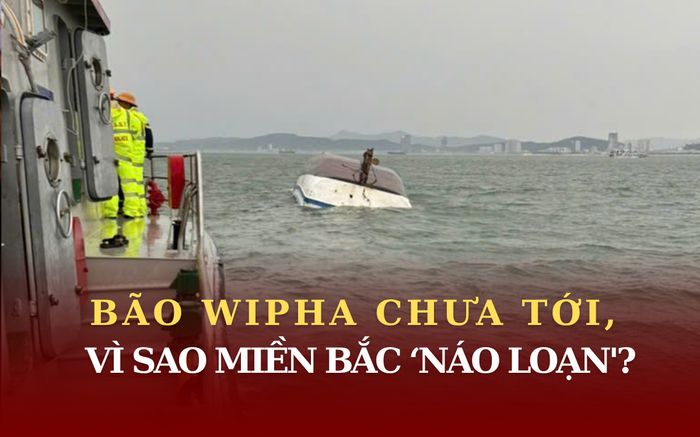Bão Wipha còn ngoài khơi, vì sao miền bắc đã 'náo loạn'?