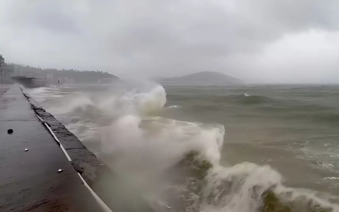 Chủ nhà hàng ở Quảng Ninh chi 54 triệu/ngày để chống bão số 3 Wipha