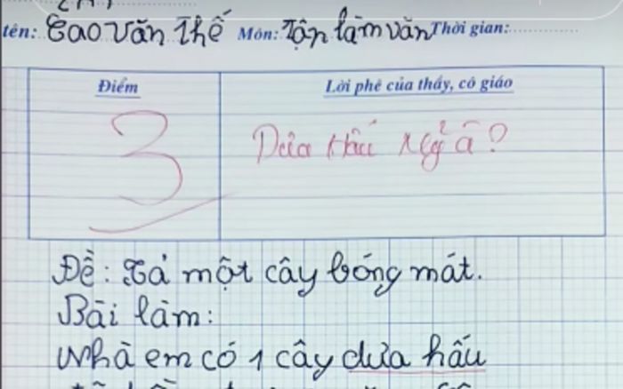 Bài văn tả cây dưa hấu đạt 3 điểm, giáo viên để lại lời phê thể hiện sự bất lực