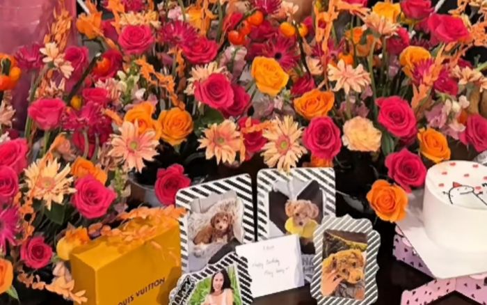 Cô gái chi hơn 50 triệu mừng sinh nhật cho chó cưng: Cuộc tranh cãi về quyền tiêu tiền và tình yêu thú cưng?