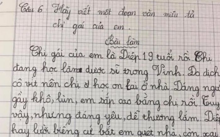 Cậu bé viết bài văn tiết lộ chuyện yêu đương của chị gái, ai đọc cũng 'ngã ngửa'