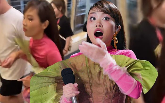 Kết thúc của Phương Mỹ Chi