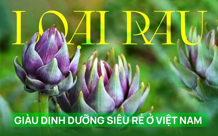 Loại rau dễ nhầm là hoa, bác sĩ Mỹ tấm tắc khen giàu dinh dưỡng hoá ra siêu rẻ ở Việt Nam