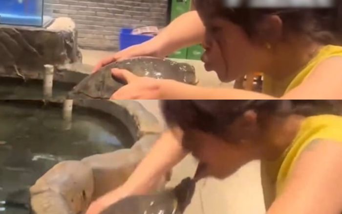 Cô gái chu môi trêu chọc rùa trong nhà hàng, nhận cái kết đắng lòng ngay sau đó