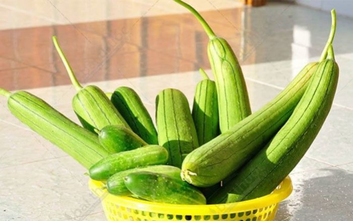 Nước giải khát từ mướp tươi: Vô cùng dinh dưỡng nhưng không phải ai cũng biết