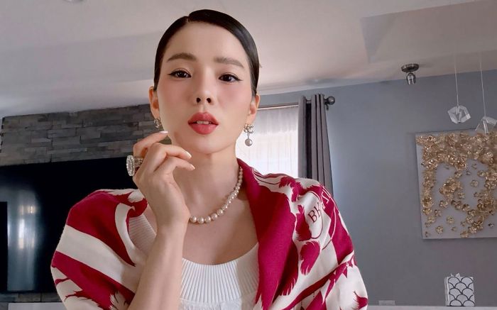 Lệ Quyên tức giận 'đáp trả' tin đồn thất thiệt: 'Chỉ khổ khán giả không biết gì'