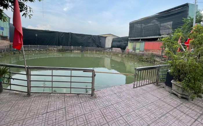 Vụ 2 anh em Hà Nội tử vong ở giếng làng: Người trực tiếp bế 2 bé lên bờ kể lại phút thương tâm