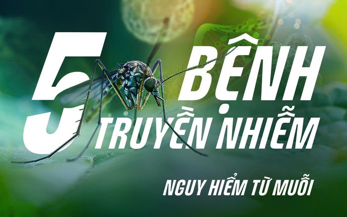 Cảnh báo: 5 bệnh truyền nhiễm nguy hiểm từ muỗi chưa có thuốc chữa cần phải hết sức chú ý!