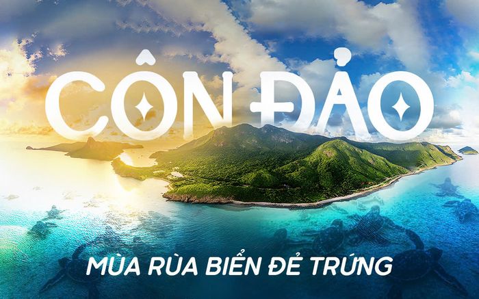 Côn Đảo mùa rùa biển đẻ trứng