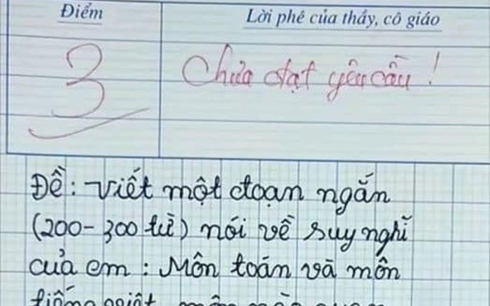 Bài văn đạt 3 điểm kèm lời phê 'chưa đạt yêu cầu' nhưng dân mạng lại tấm tắc khen ngợi