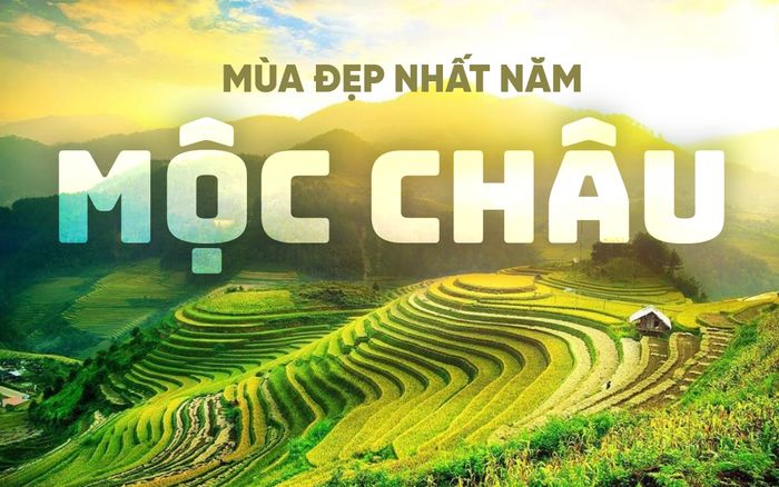 Mộc Châu mùa đẹp nhất năm, đi ngay kẻo lỡ
