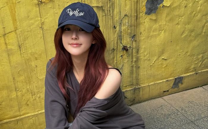 Triệu Lộ Tư bất ngờ xóa tài khoản mạng xã hội, bị nghi làm giả giấy tờ