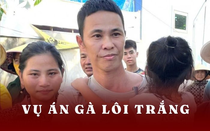Vụ nuôi gà lôi trắng bị phạt 6 năm tù: Ông Thái Khắc Thành kháng cáo