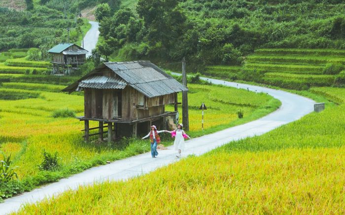 Nghỉ lễ Quốc khánh 2/9, lên Sa Pa ngắm mùa lúa chín