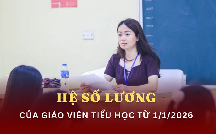 Từ 1/1/2026: Thêm hệ số lương đặc thù, giáo viên tiểu học hưởng lợi lớn