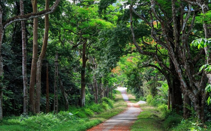 Tìm thấy thi thể nam du khách mất tích trong rừng Cúc Phương