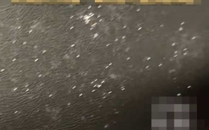 Vừa ngồi xuống ghế rạp phim, cô gái kinh hãi khi phát hiện sinh vật 'bò lổm ngổm'