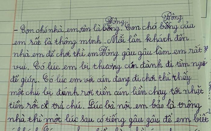 Bài văn tả chú chó cực dí dỏm, ai đọc xong cũng phải thốt lên: Quá sức tưởng tượng