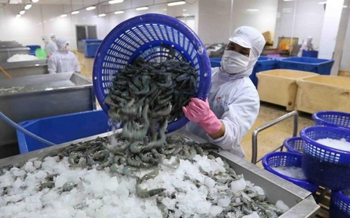 Xuất khẩu tôm Việt Nam đạt 2,5 tỷ USD trong 7 tháng