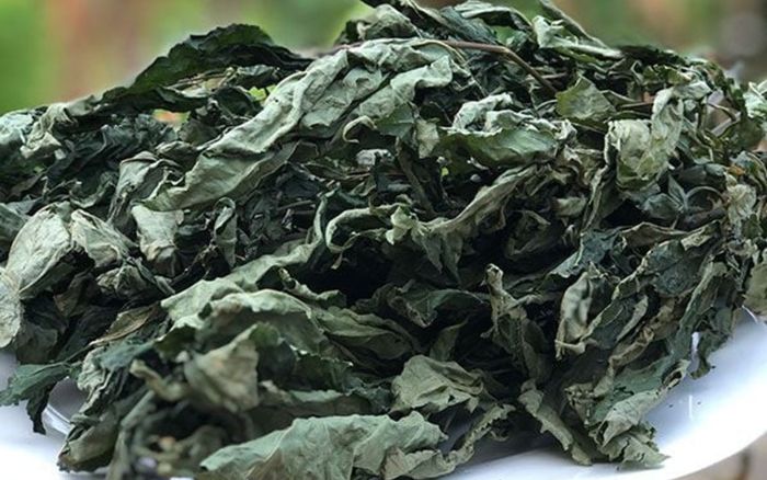 Loại lá siêu đắt chỉ có duy nhất ở Việt Nam, sấy khô có giá 150 triệu đồng/kg