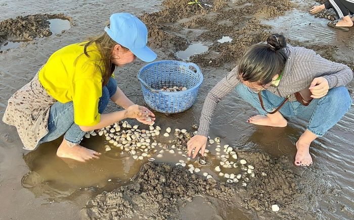 Về miền Tây, bỏ túi 50.000 đồng đi trải nghiệm thú vui cào nghêu