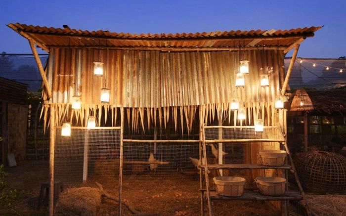 Nghe tiếng động trong chuồng, người dân tá hỏa khi phát hiện 'quái vật' 40 kí đang đột nhập